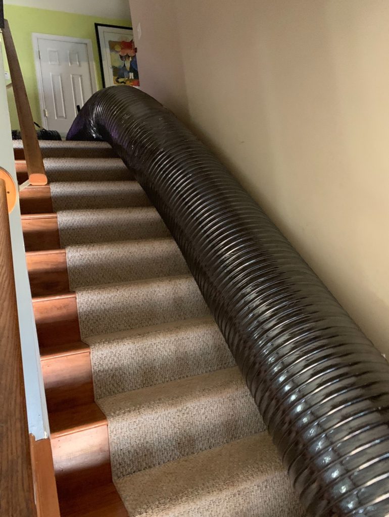 IMG_6997 pest treatment services near me