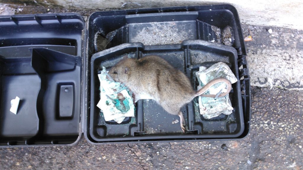 Resized_20180118_123540_IMG_0749_1711997920567