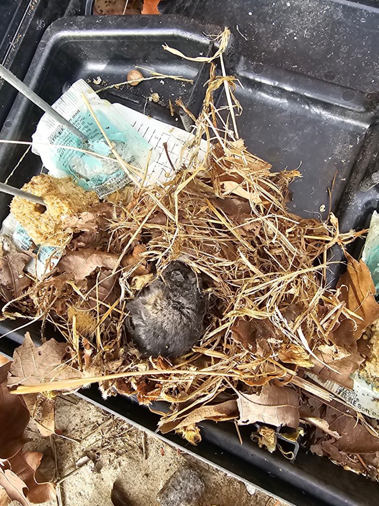 Resized_20231208_142138_1711998804284